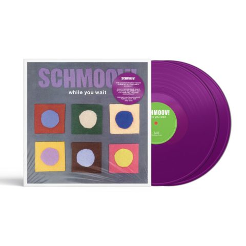 Schmoov! - While You Wait [2 x LP]